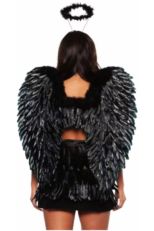 Wings-Black Feather