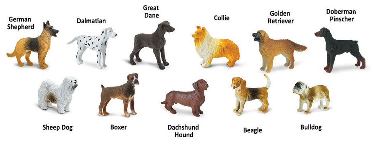Dogs