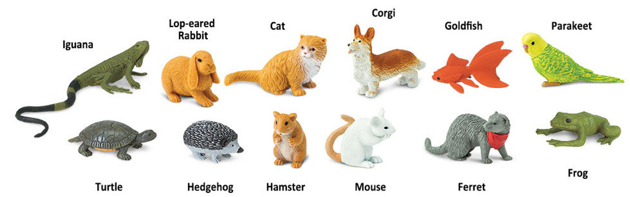 Pets