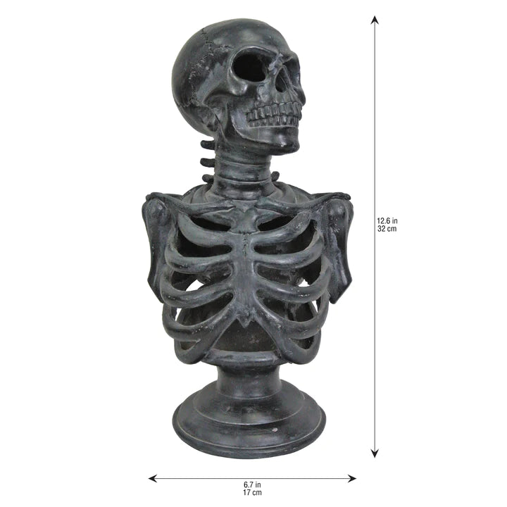 12.5¨ Lu Skeleton Torso