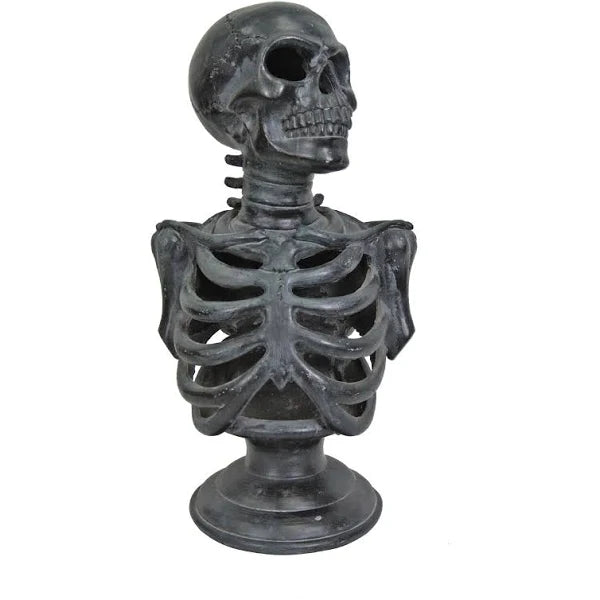 12.5¨ Lu Skeleton Torso