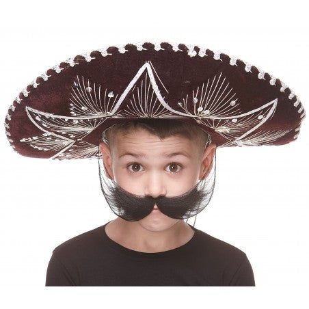 Small Mustaches With Beards and Eyebrows Black