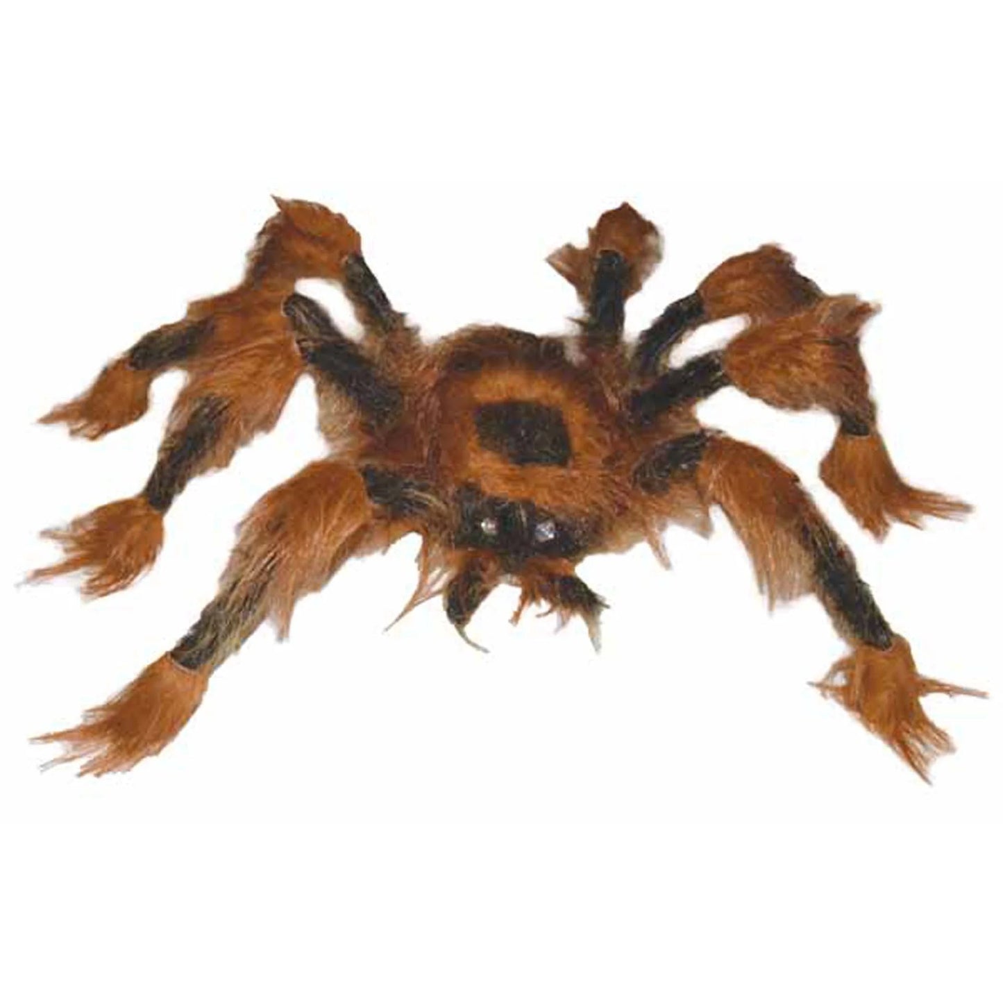 Brown Hairy Spider