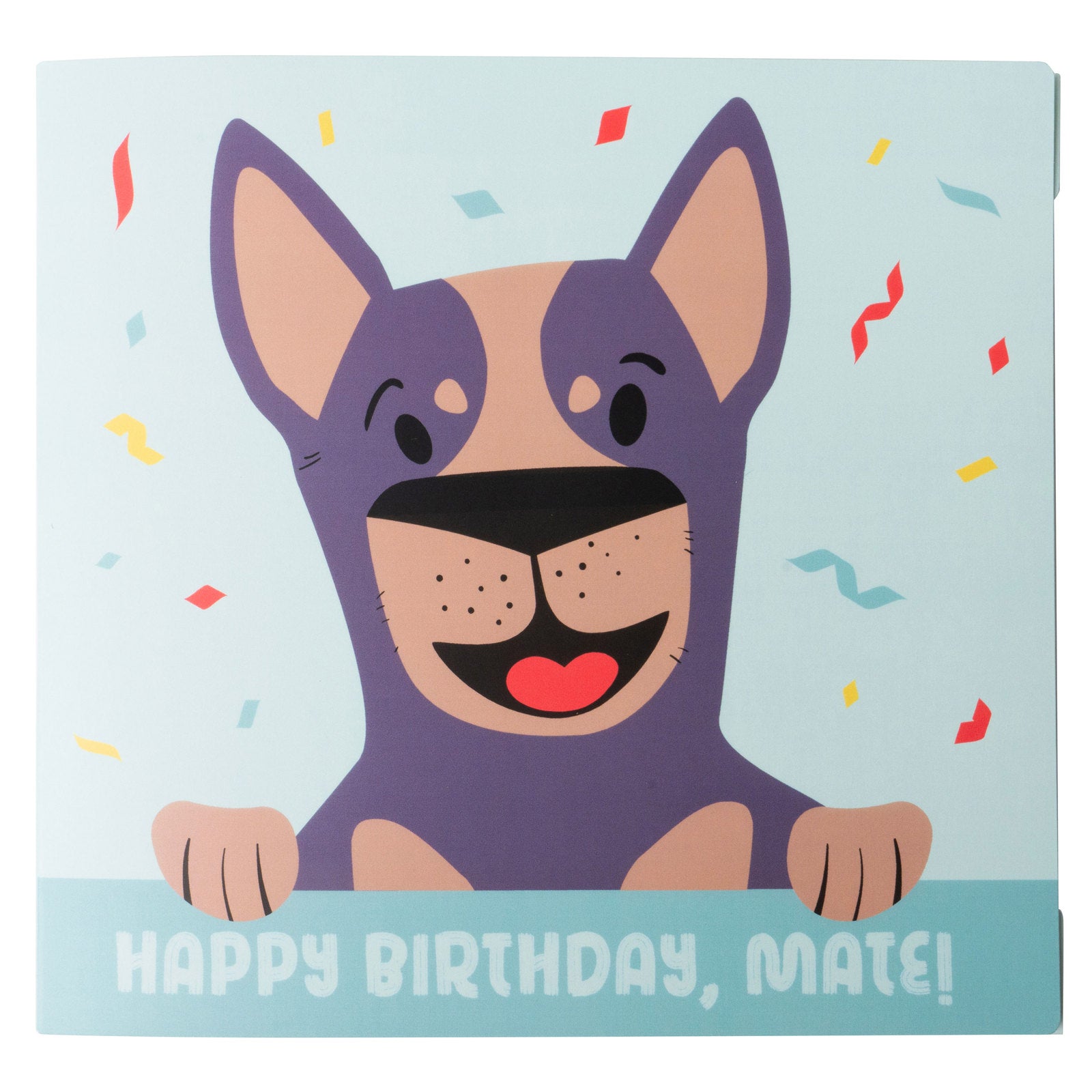 Two Left Feet Kid's IT'S YO BIRTHDAY Gift Card Sock Set -  Raise The Woof