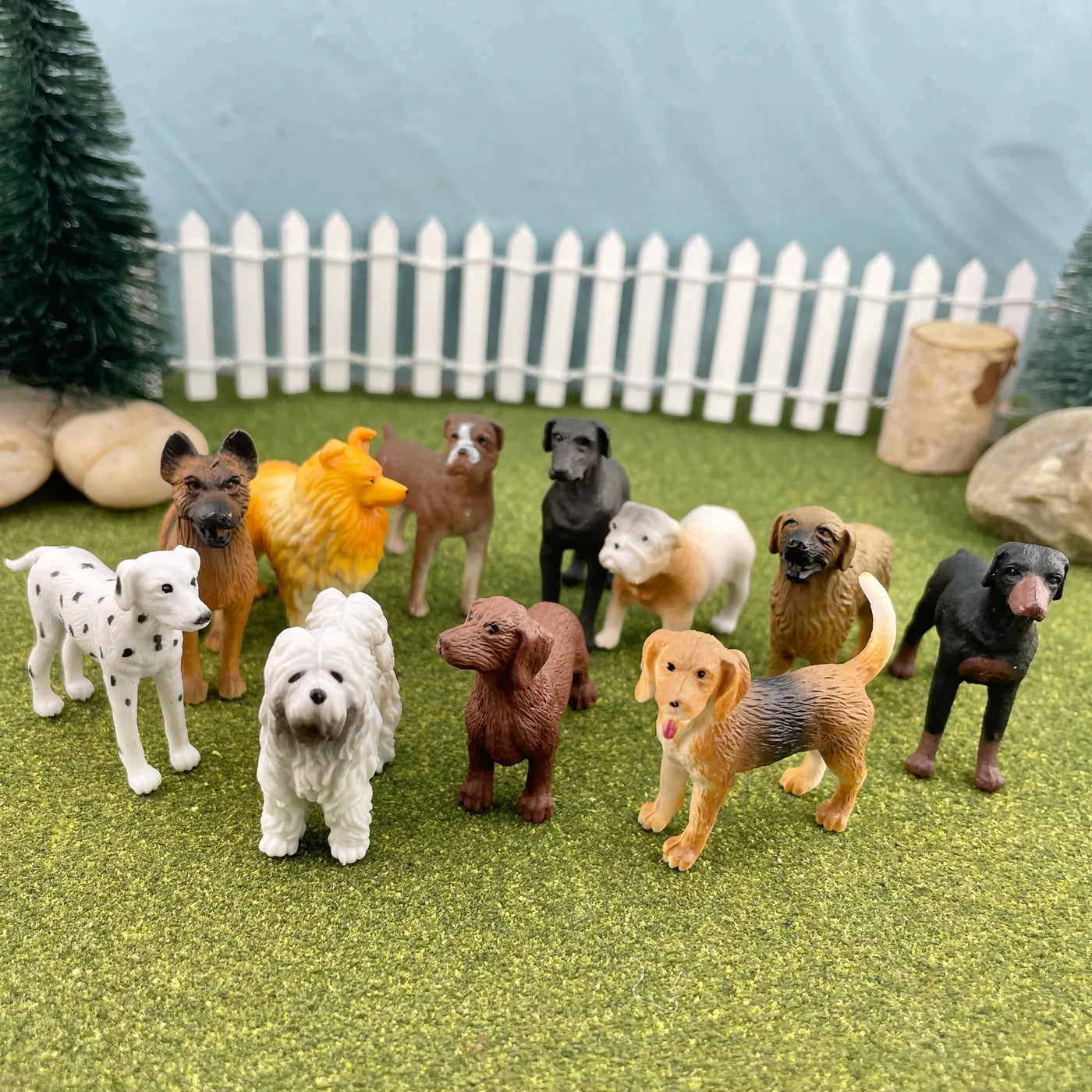 Dogs