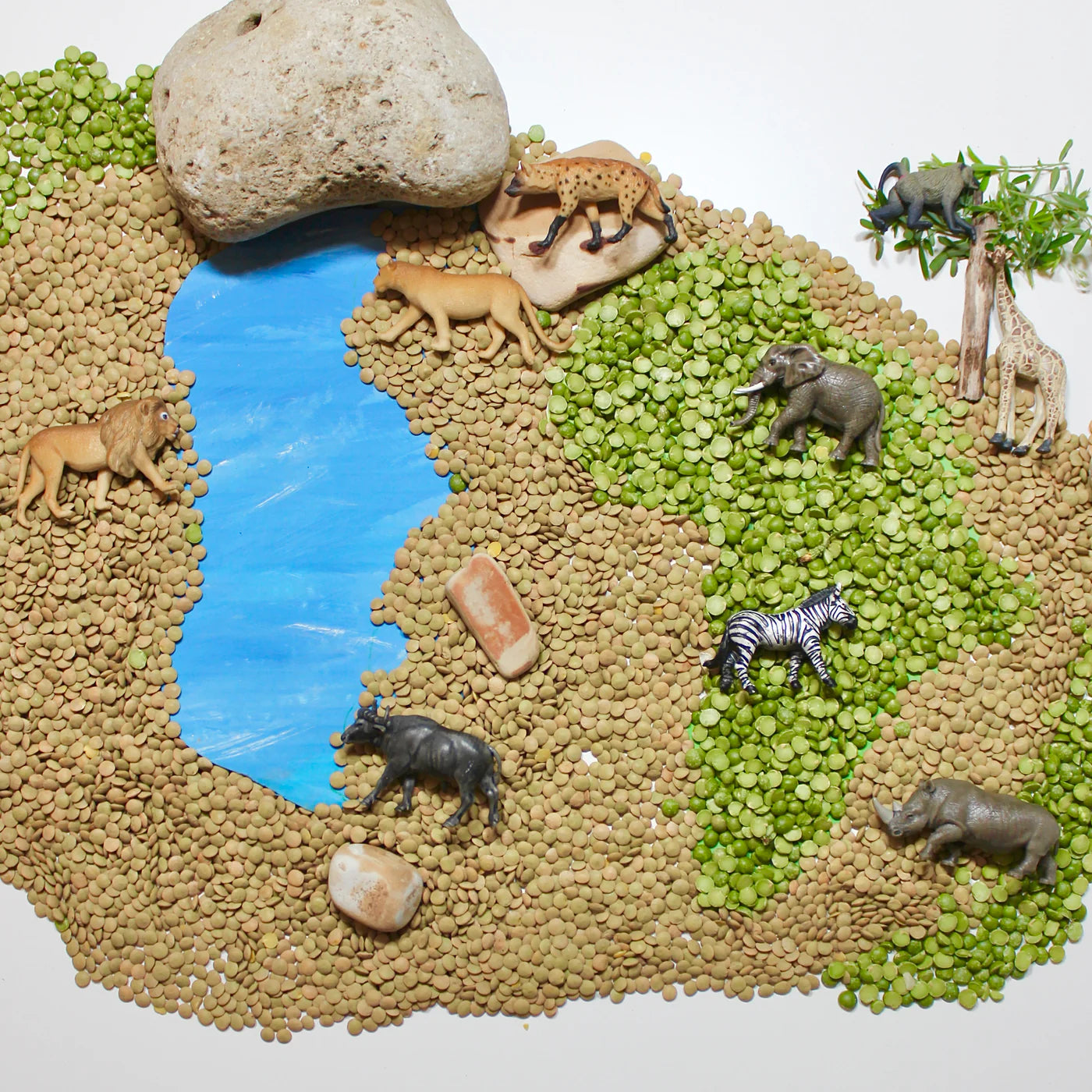 South African Animals