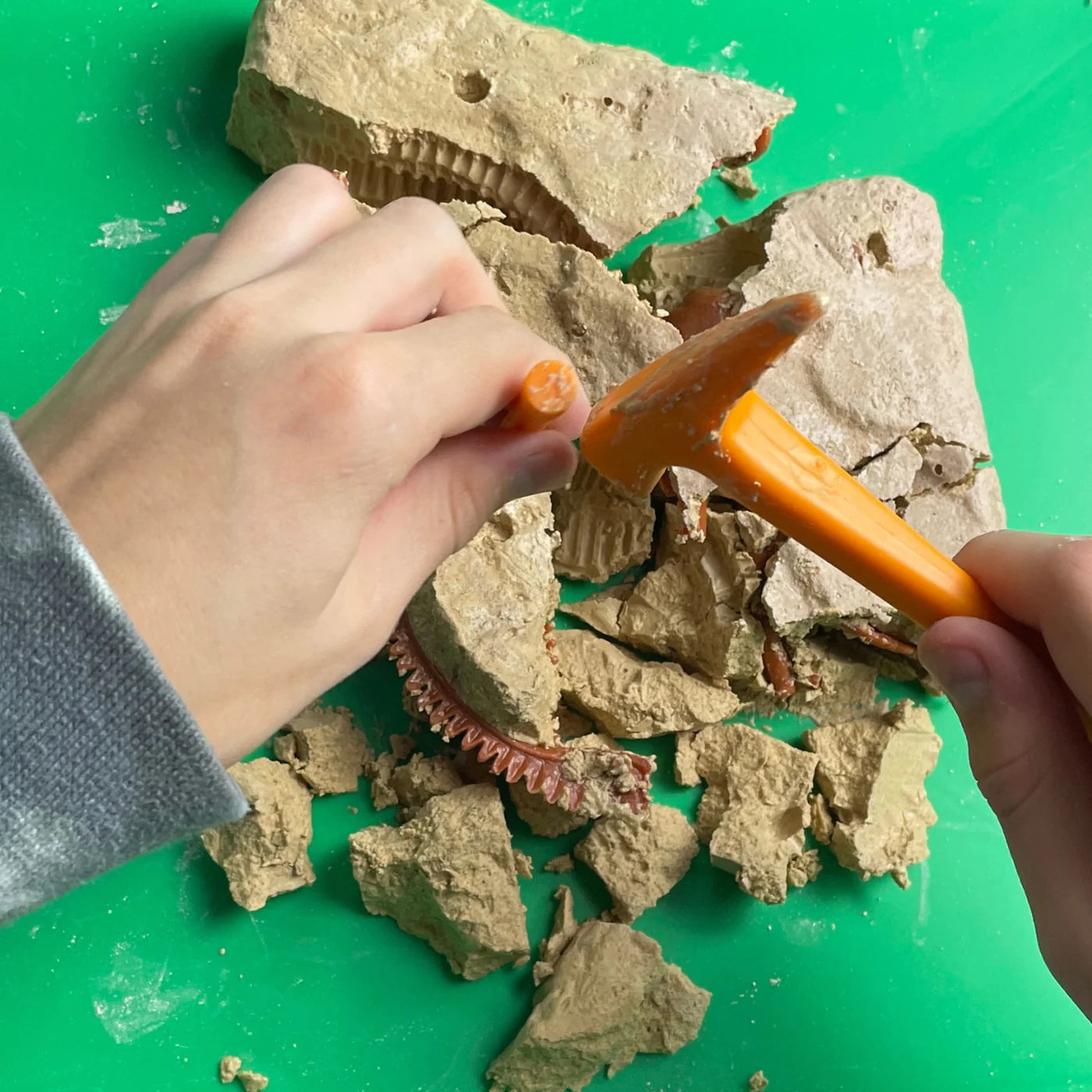 Dino Dig Triceratops Excavation Kit