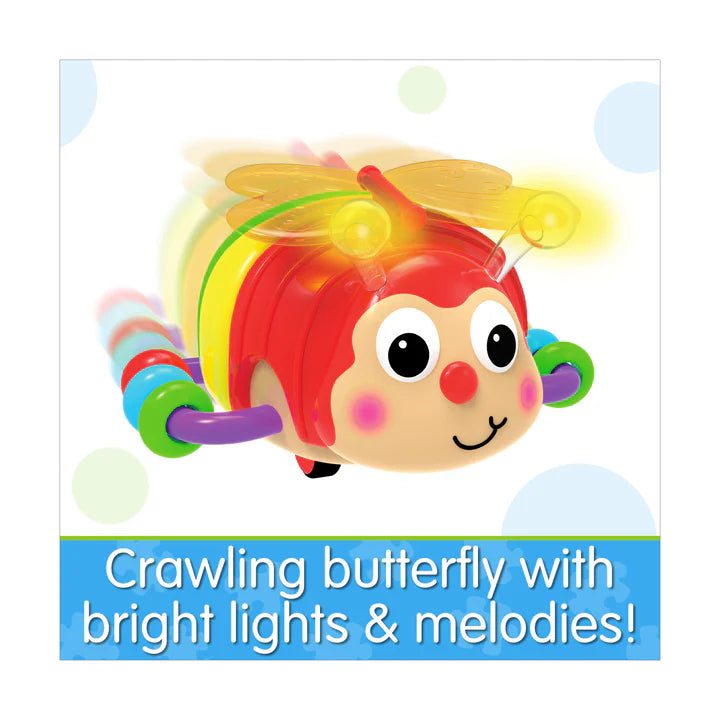 Crawl About Butterfly