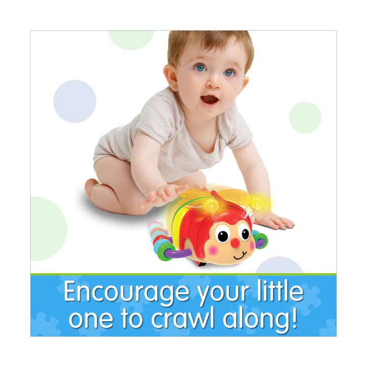 Crawl About Butterfly