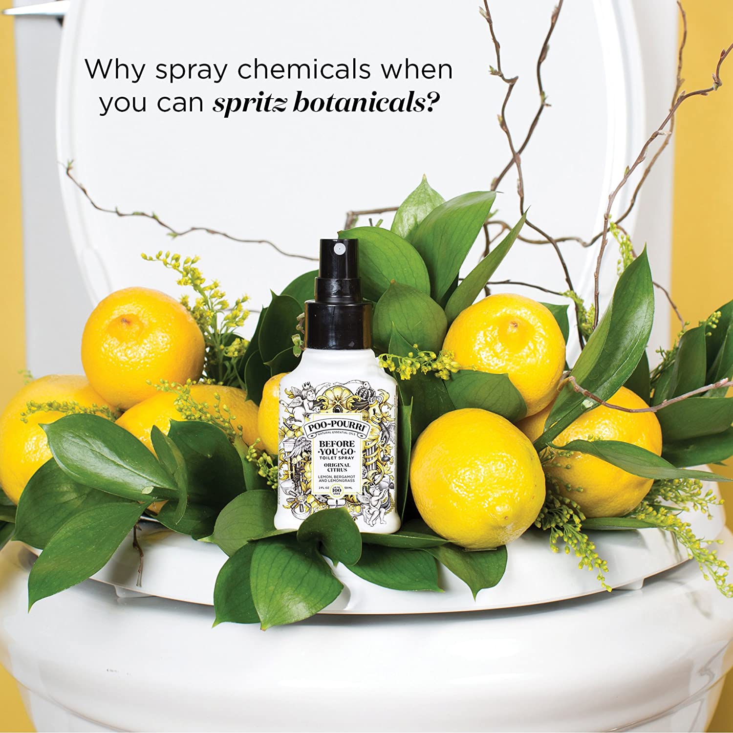 Before You Go Toilet Spray Original Citrus 2 oz