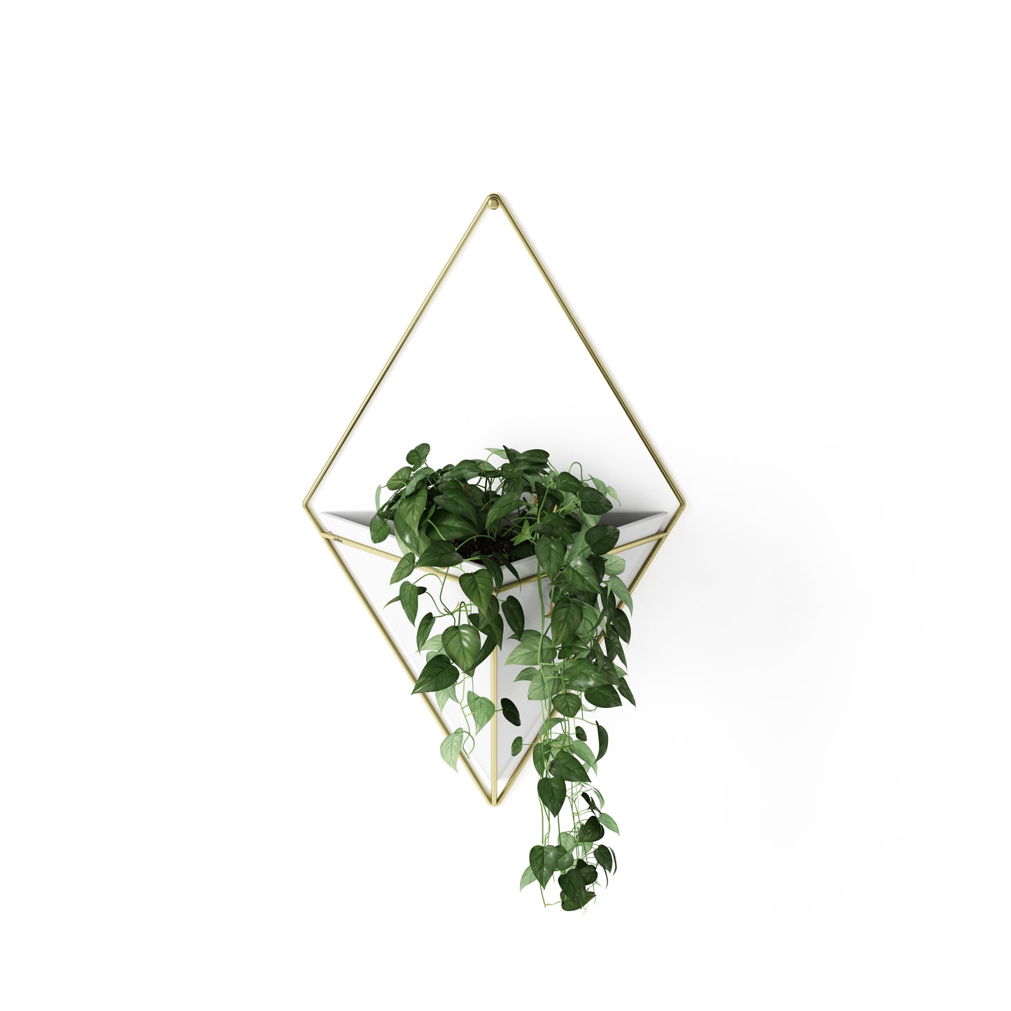Trigg Large Wall Vessel White-Brass