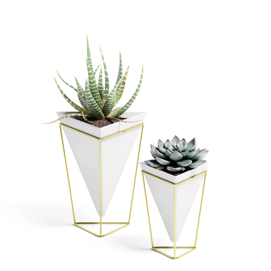 Trigg Tabletop White / Brass