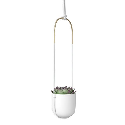 Bolo Hanging & Ceiling Planter
