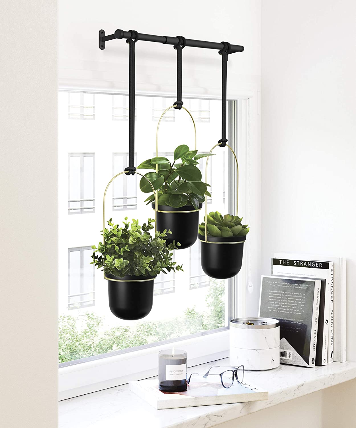 TRIFLORA  HANGING PLANTER BLACK /BRASS