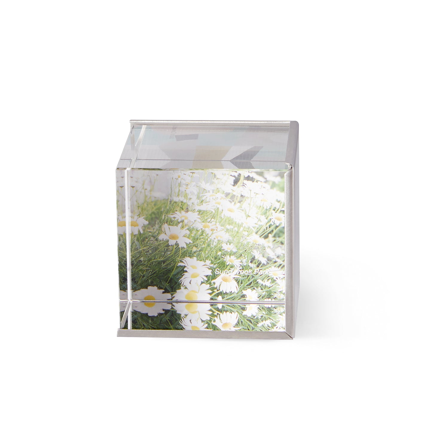 Ice Frame