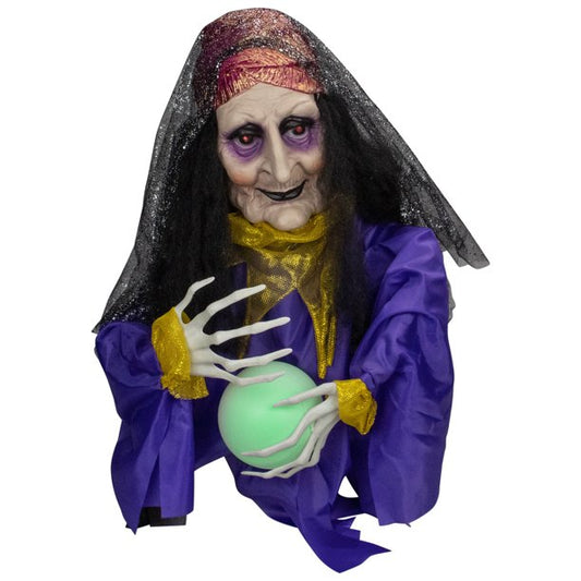 NEW : 20 IN ANIMATED FORTUNE TELLER SKELTON IN COFFIN RACER