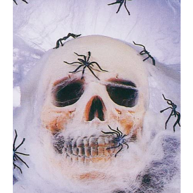 Spider Webbing black