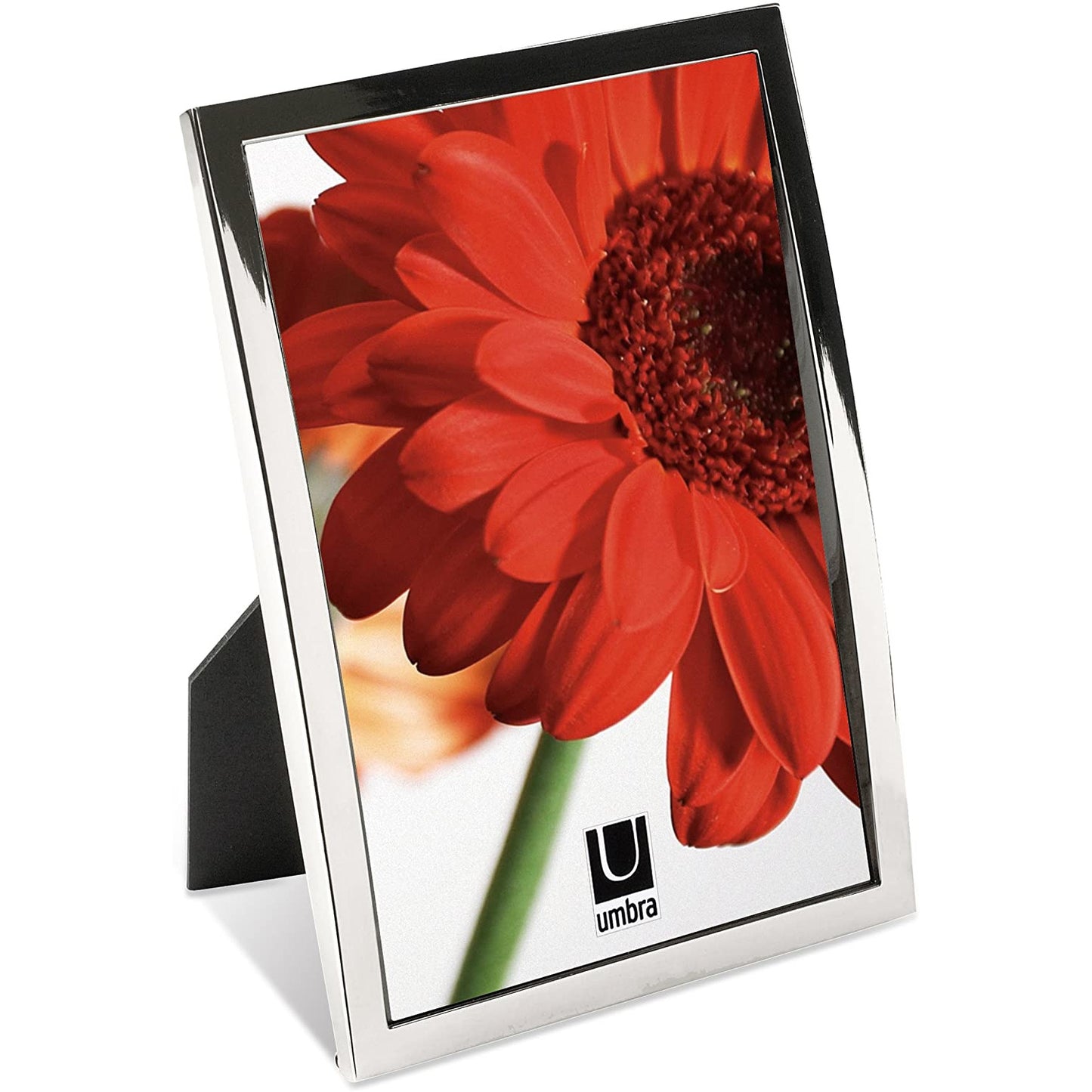 Senza Photo Display 5 x 7" in 4 colors