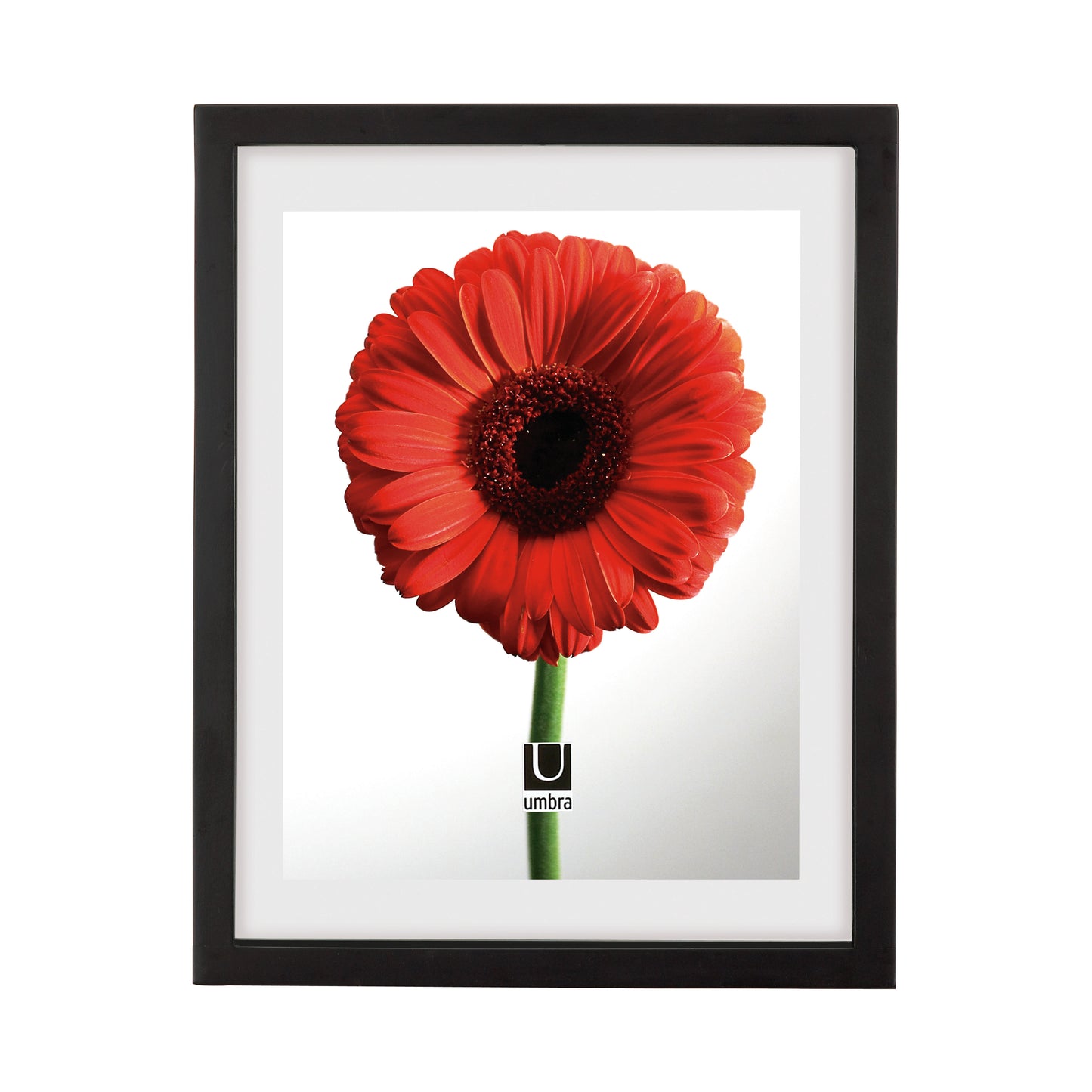 Document Frame 11" x 14" black