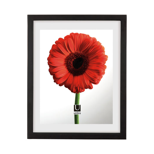 Document Frame 11" x 14" black