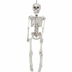 35in  Realistic Skeleton