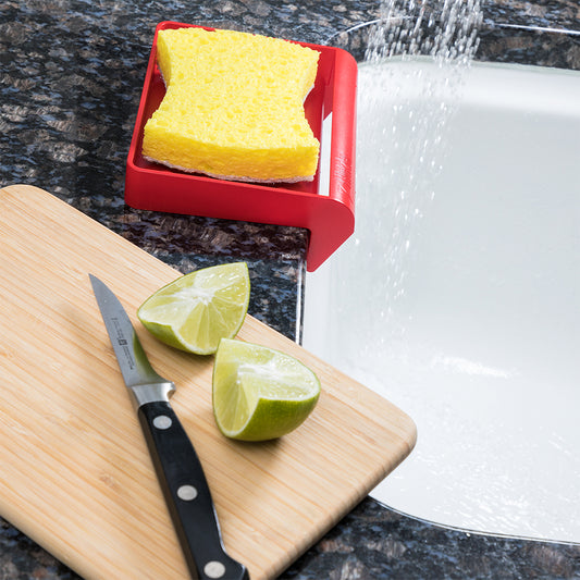 Sponge Tray
