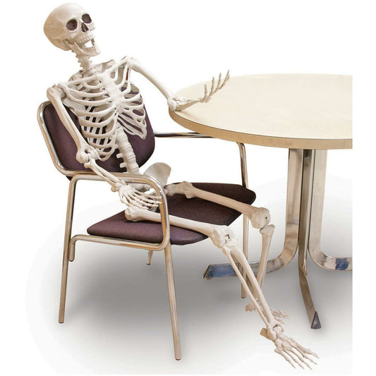 60" Posable Skeleton