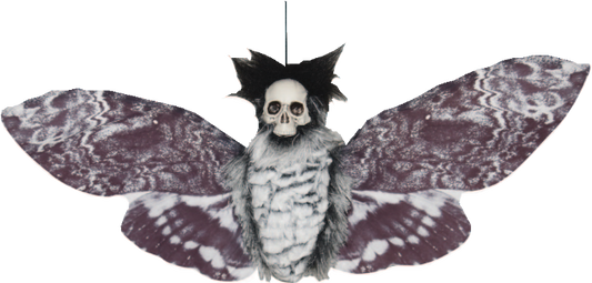 Hanging Moth