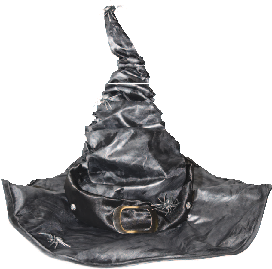 Which Hat w/Barbed Wire