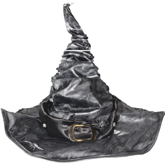 Which Hat w/Barbed Wire