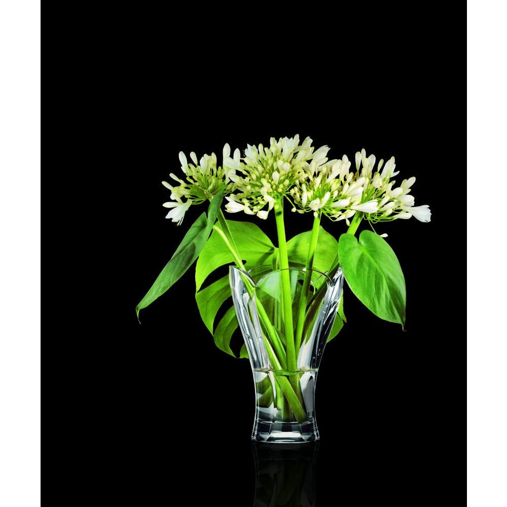 Calypso 1x vase 9"