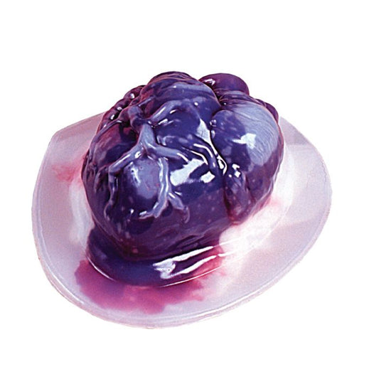 HEART GELATIN MOLD