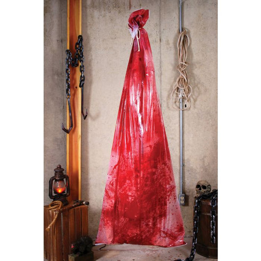 BLOODY BODY IN BAG