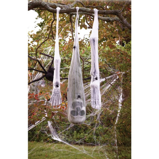 SPIDER COCOON VICTIM