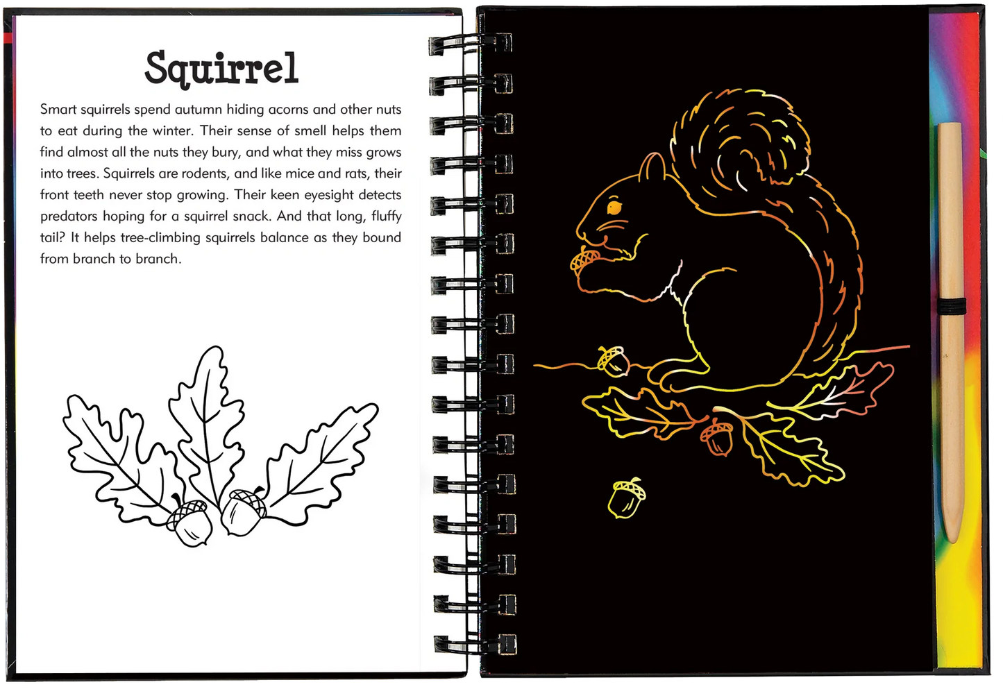 Forest Friends Scratch and Sketch