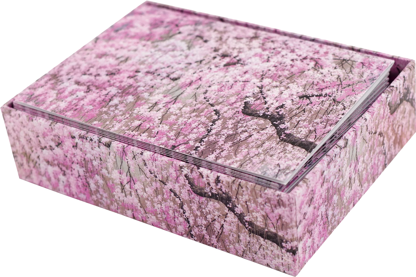 Note card Cherry blossoms