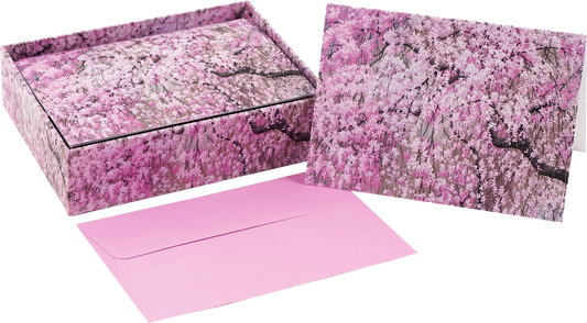Note card Cherry blossoms