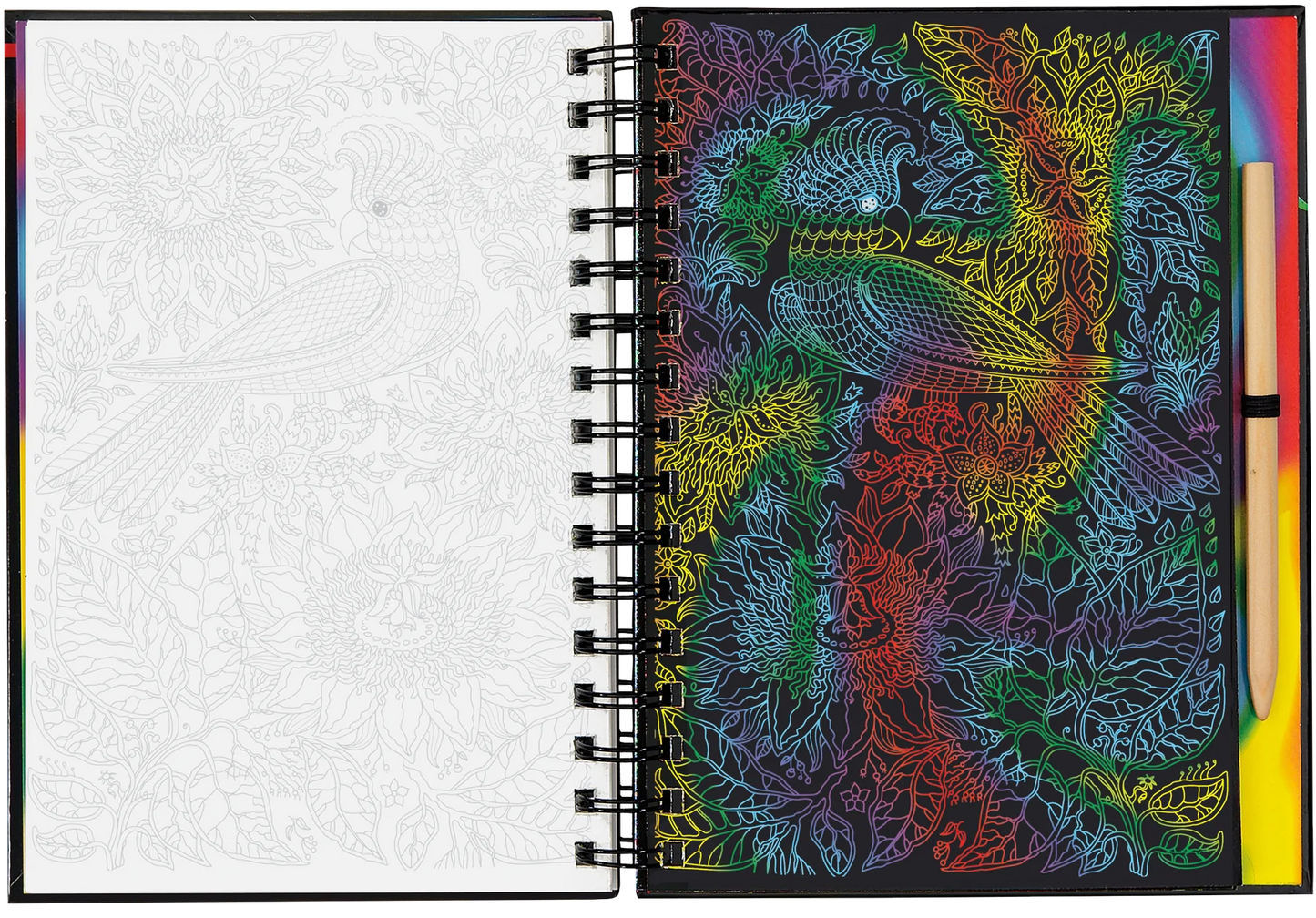 Extreme! Animals Scratch and Sketch