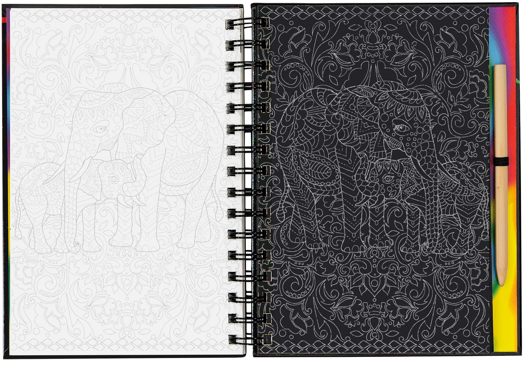 Extreme! Animals Scratch and Sketch