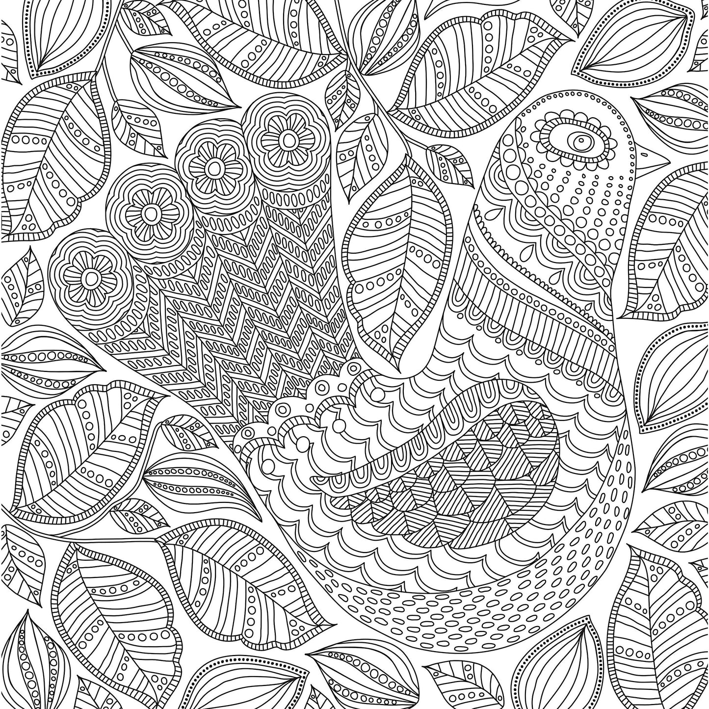 COLORING BOOK BLOOMS BIRDS & BUTTERFLIES