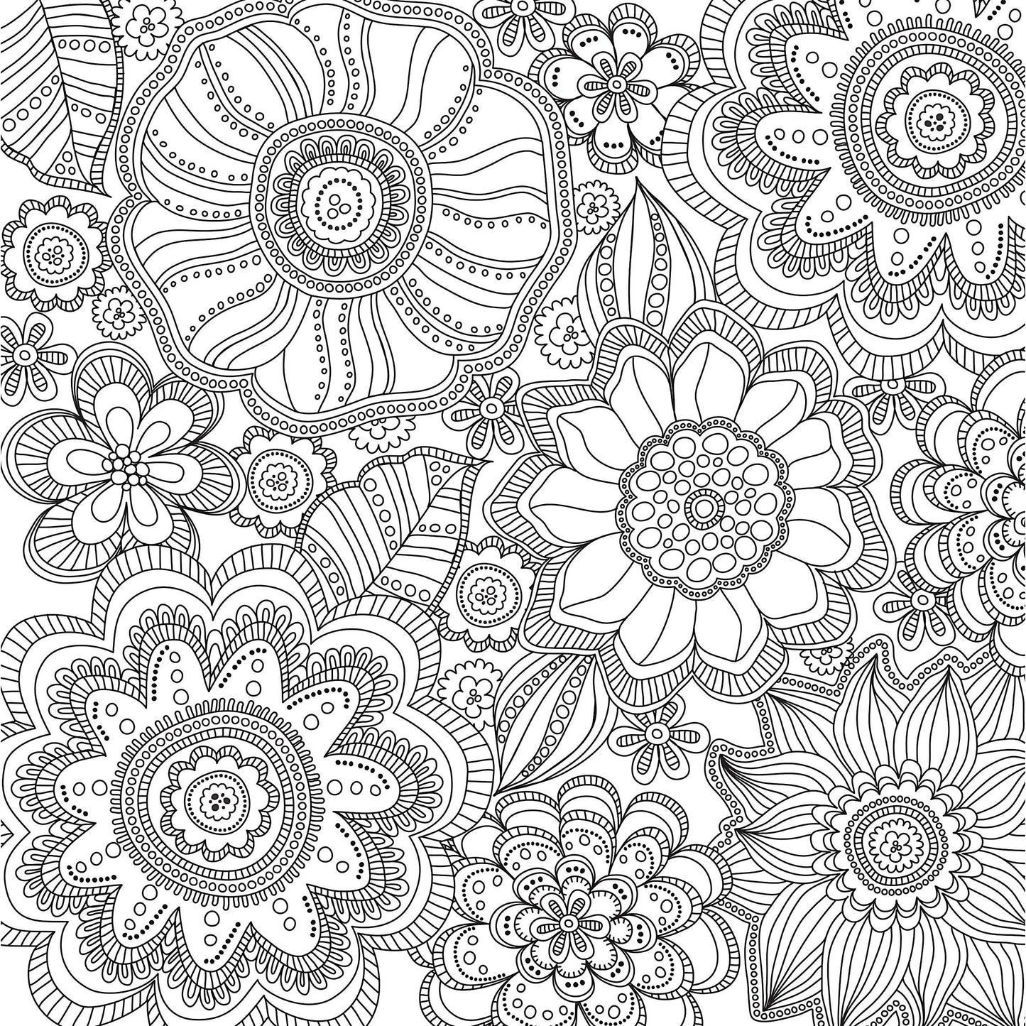 COLORING BOOK BLOOMS BIRDS & BUTTERFLIES