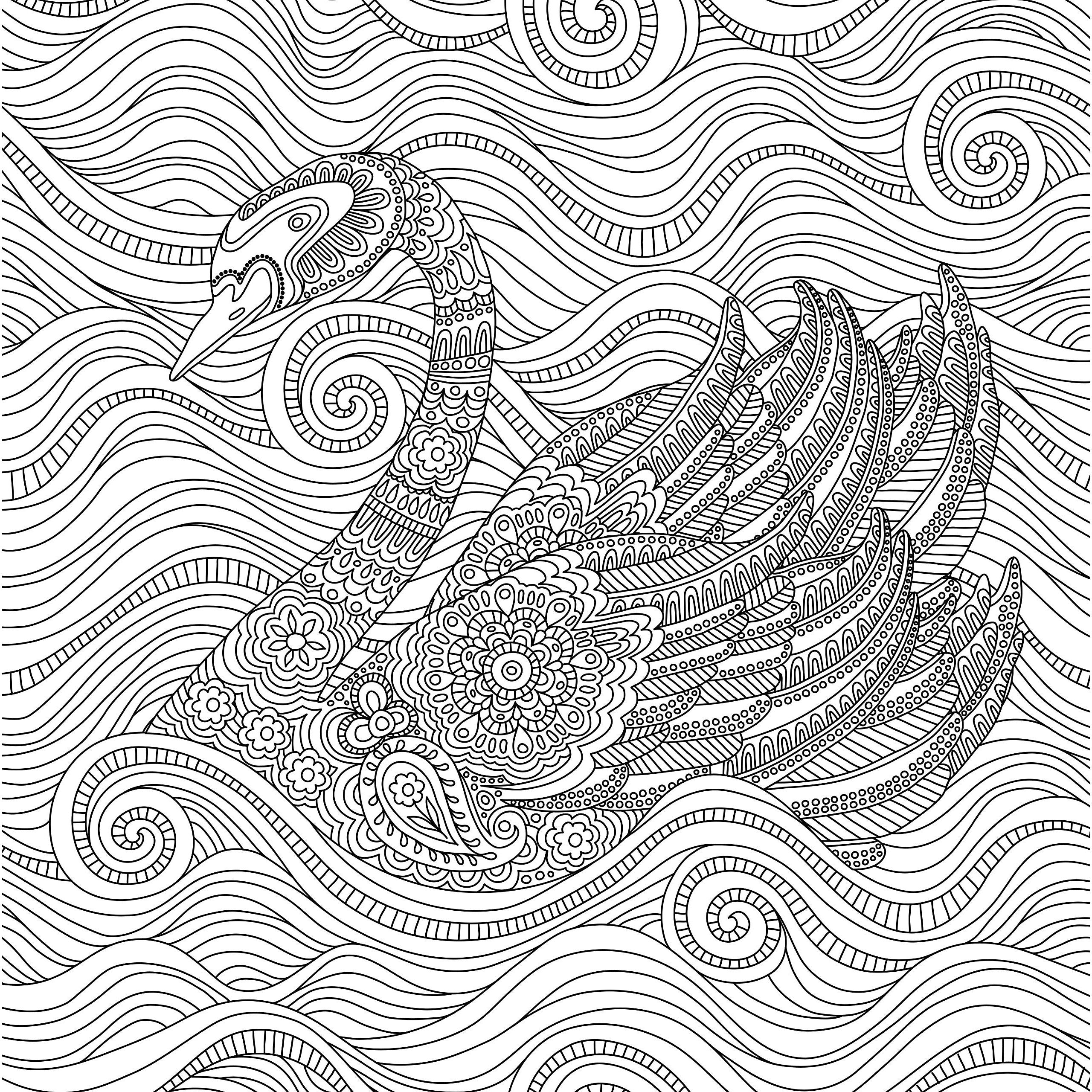 COLORING BOOK BLOOMS BIRDS & BUTTERFLIES