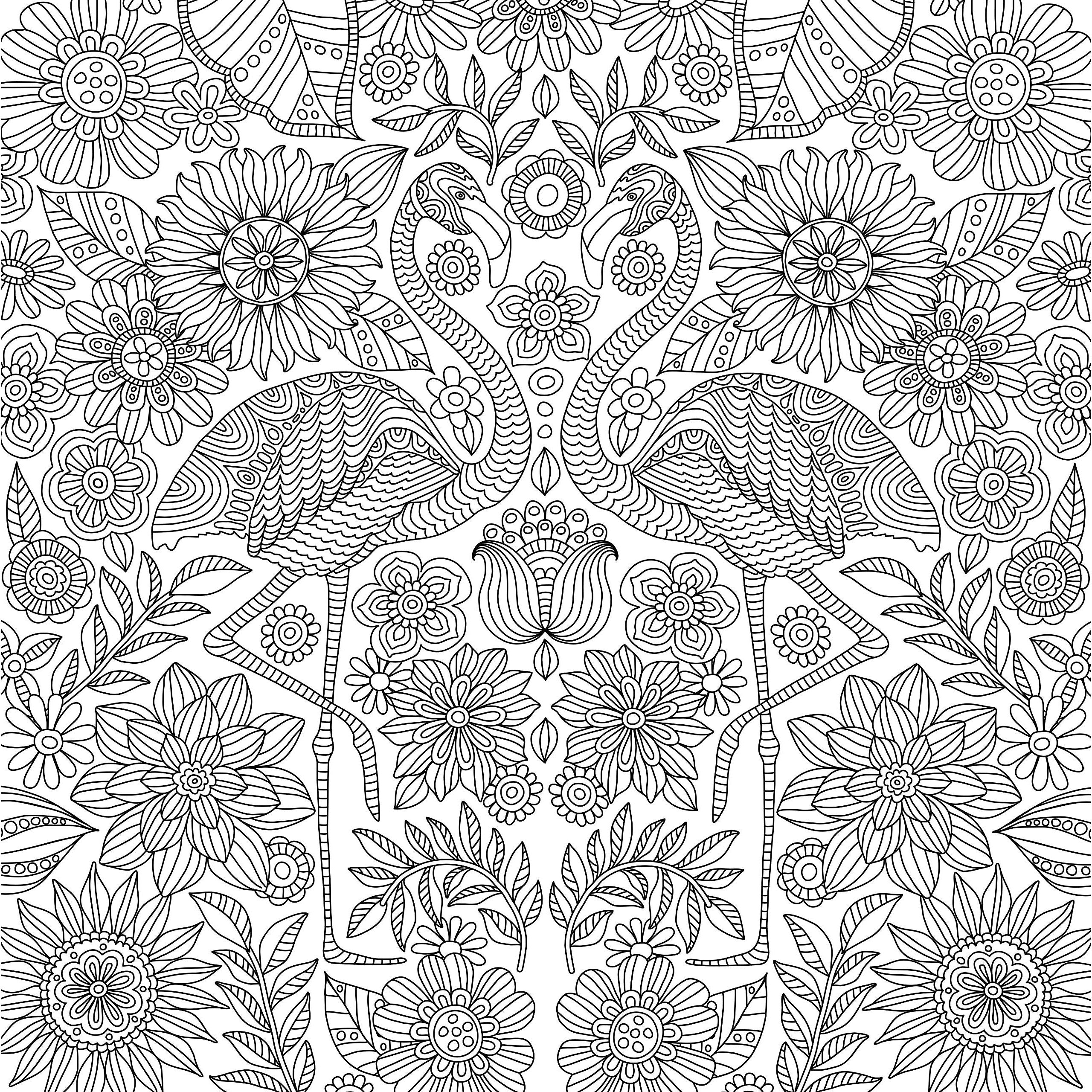 COLORING BOOK BLOOMS BIRDS & BUTTERFLIES