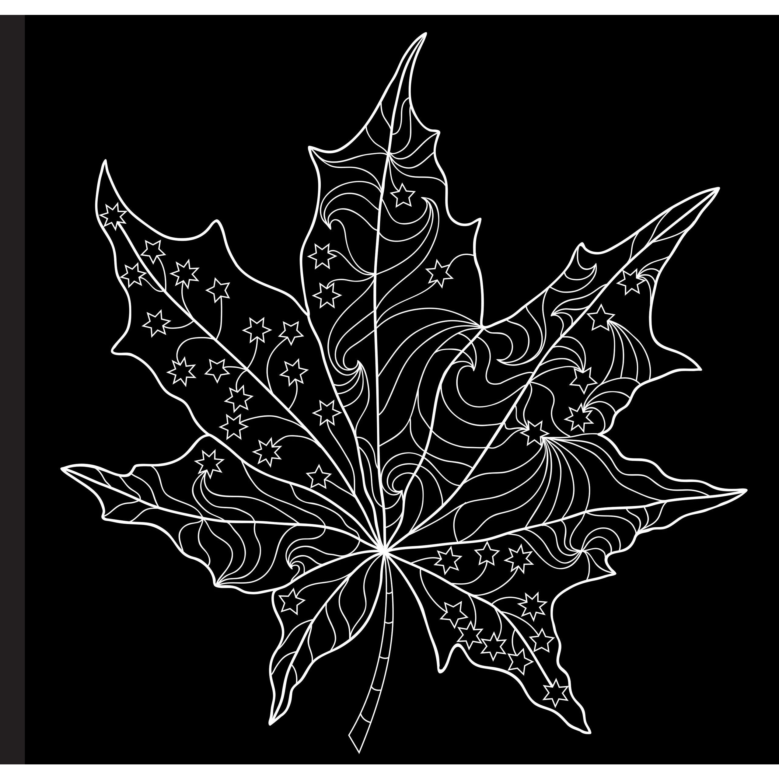 COLORING BOOK BACK IN BLACK