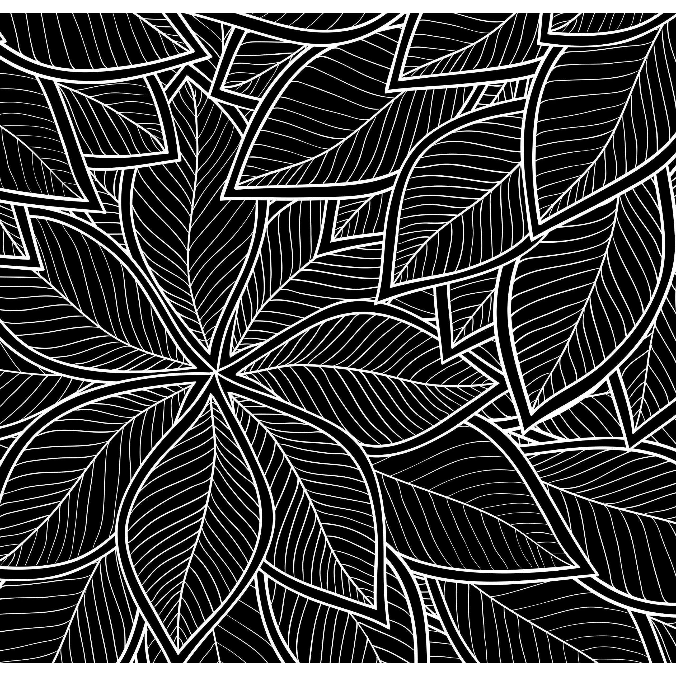 COLORING BOOK BACK IN BLACK