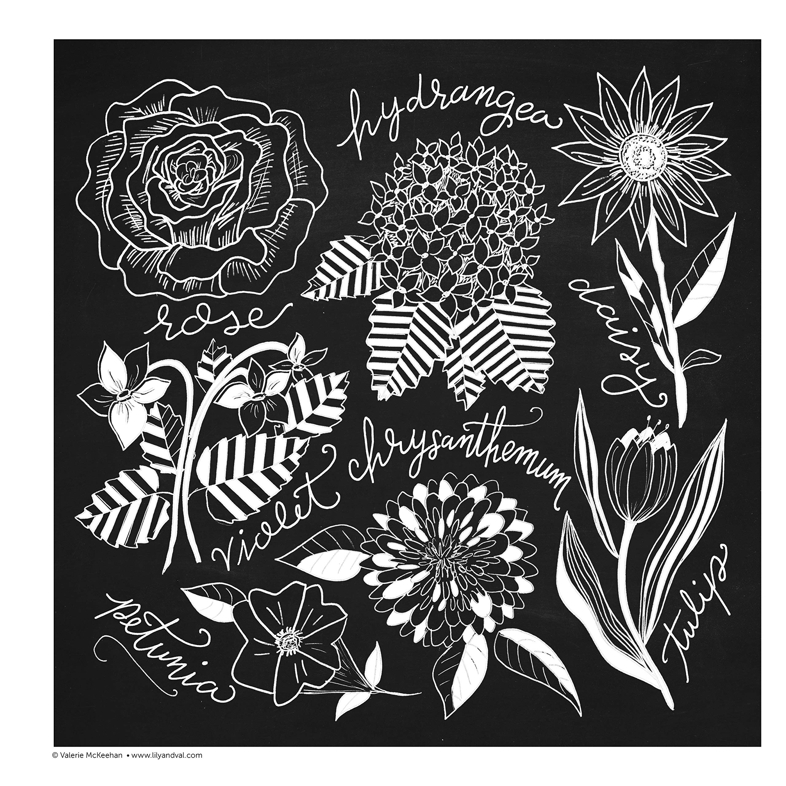 DELUXE COLORING BOOK CHALK STYLE BOTANICALS