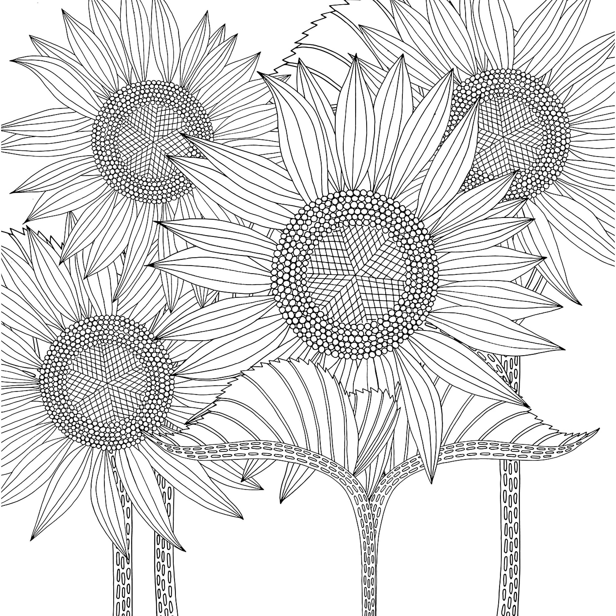 COLORING BOOK BEALIVE