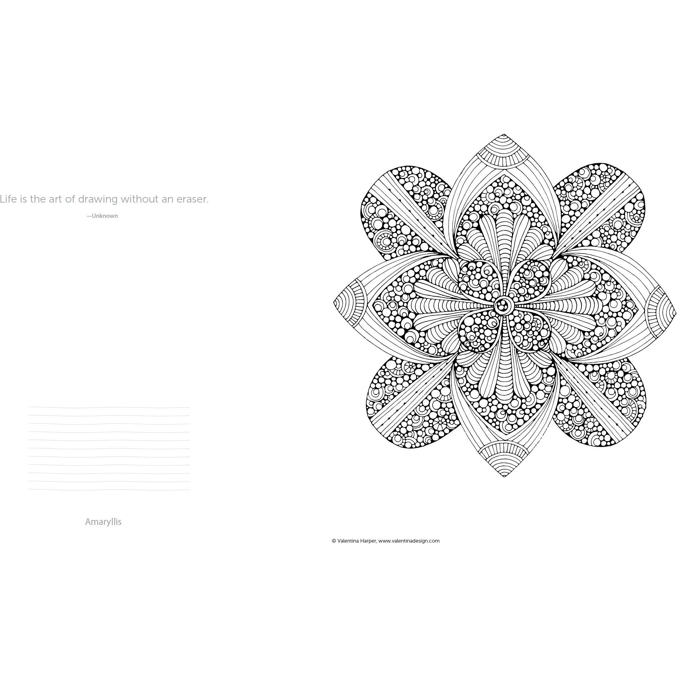 COLORING BOOK MANDALAS