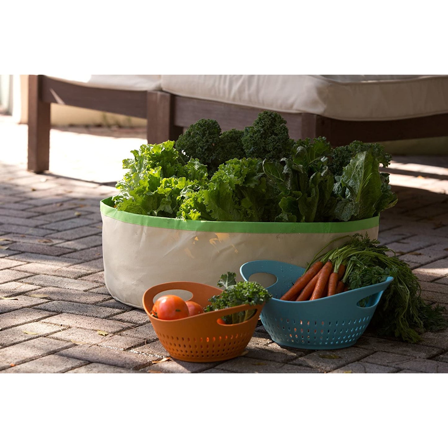 Hierbas y verdes cosecha Grow Bolsa