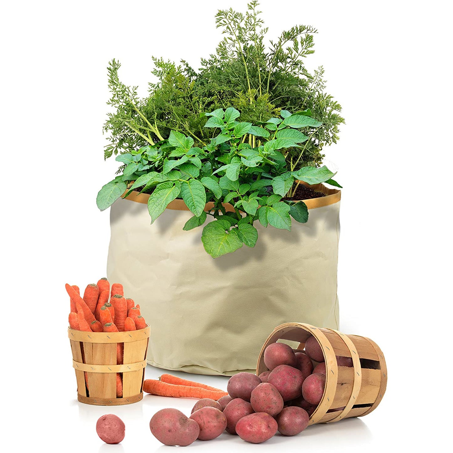 Root Vegetables Harvest Grow Bag